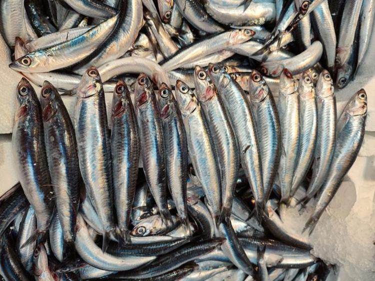 5 tane simit fiyatına alınabiliyor Dünyanın en kaliteli besini için mevsim başladı