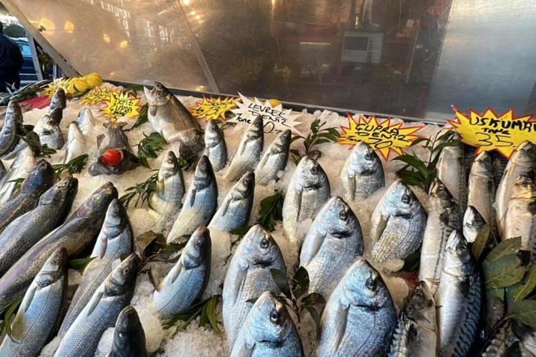 5 tane simit fiyatına alınabiliyor Dünyanın en kaliteli besini için mevsim başladı