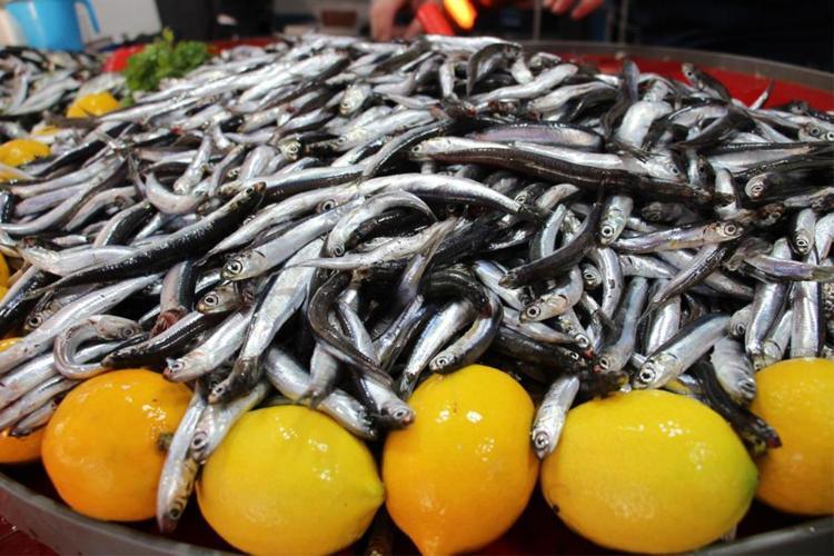 5 tane simit fiyatına alınabiliyor Dünyanın en kaliteli besini için mevsim başladı
