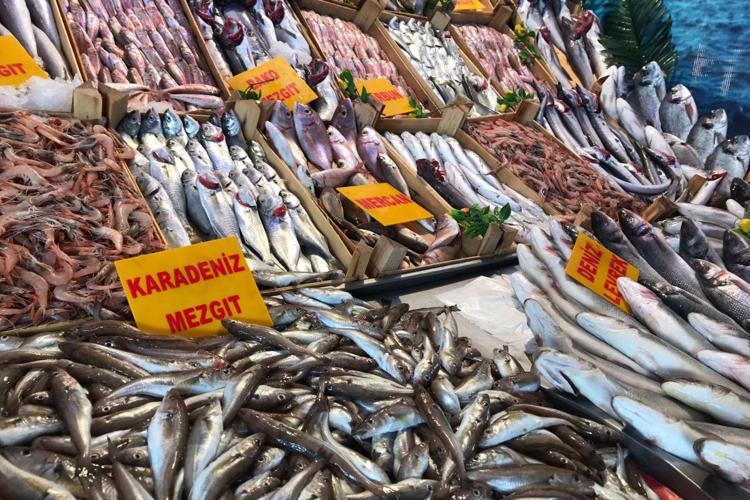 5 tane simit fiyatına alınabiliyor Dünyanın en kaliteli besini için mevsim başladı