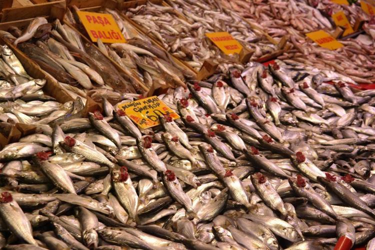 5 tane simit fiyatına alınabiliyor Dünyanın en kaliteli besini için mevsim başladı