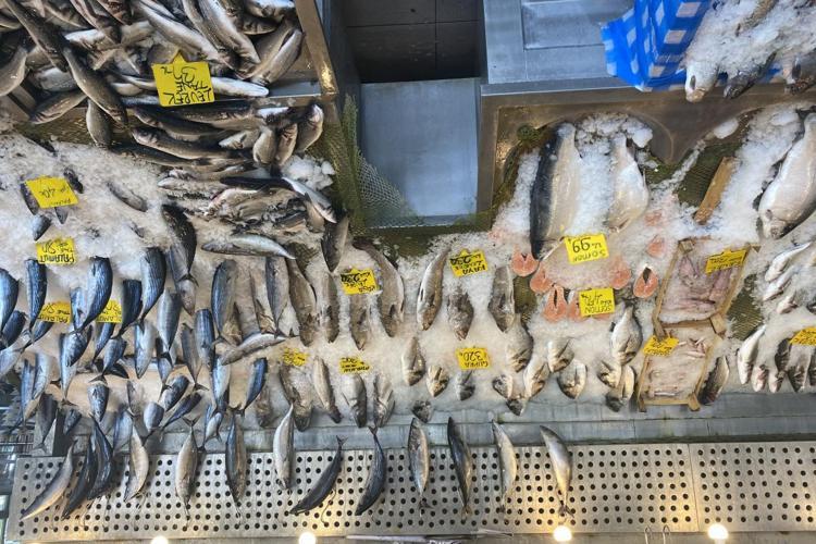 5 tane simit fiyatına alınabiliyor Dünyanın en kaliteli besini için mevsim başladı