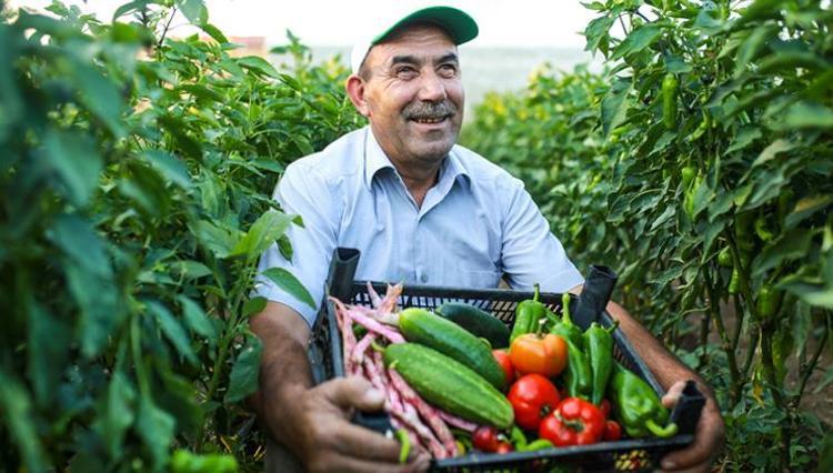 Sağlıkla ilgili 20 şaşırtıcı gerçek Duyduklarınıza inanamayacaksınız