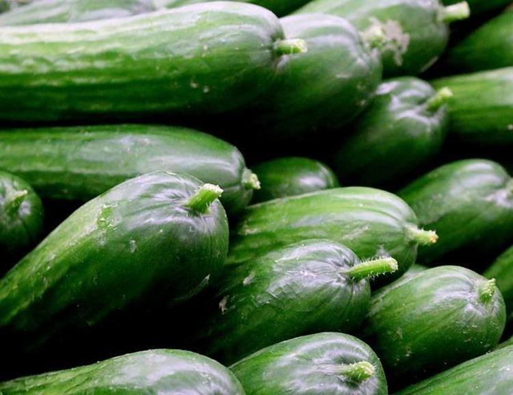 Vücudun acıkmasını saatlerce engelliyor Lif ve protein deposu besin: Bunu yiyenin aklına yemek yemek gelmiyor