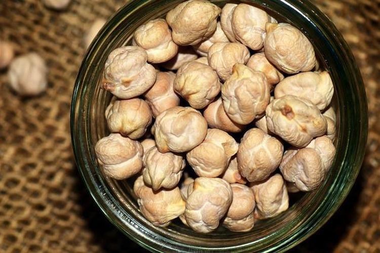 Vücudun acıkmasını saatlerce engelliyor Lif ve protein deposu besin: Bunu yiyenin aklına yemek yemek gelmiyor