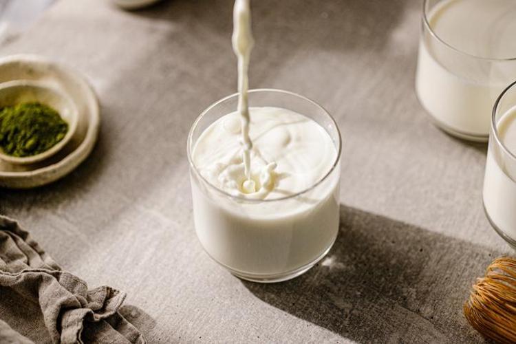 Vücudun acıkmasını saatlerce engelliyor Lif ve protein deposu besin: Bunu yiyenin aklına yemek yemek gelmiyor