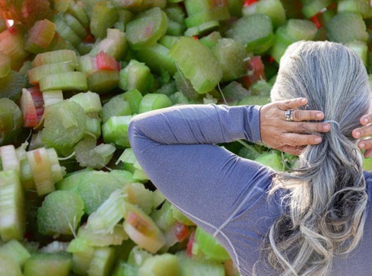 Beyaz saçlar tarih oluyor Bu bitkinin kökleri 1 saatte saçı doğal rengine döndürüyor