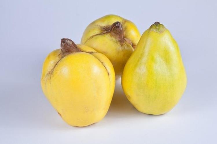 C vitamininde portakalla yarışıyor Beyaz kan hücrelerini coşturup vücuda bakteri sokmayan besin