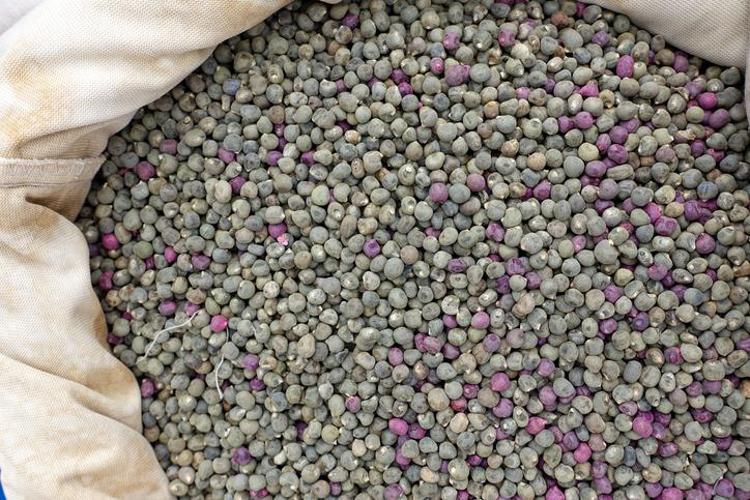ÇORBA VE YEMEKLERE EKLEMEK: