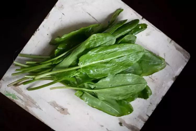 En güçlü mikrop öldürücüymüş Doğada kendiliğinden yetişiyor: Sirkeli suda bekletip tüketmek gerekiyor, içinde yok yok