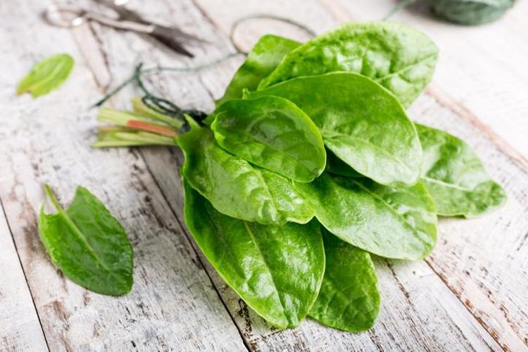 En güçlü mikrop öldürücüymüş Doğada kendiliğinden yetişiyor: Sirkeli suda bekletip tüketmek gerekiyor, içinde yok yok