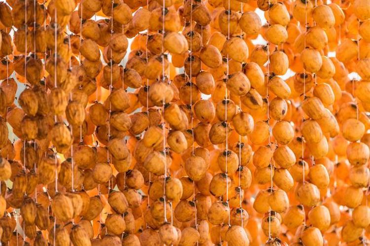 Cennet meyvesi olarak biliniyor En güçlü C vitamini kaynağı: Her gün yiyen günden güne gençleşiyor