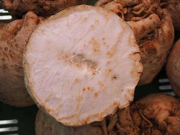 Tadını seven az ama iltihabı eliyle tutmuş gibi yakalayıp kapı dışarı ediyor Bir tabağı bile kalbi muhafız gibi koruyan besin