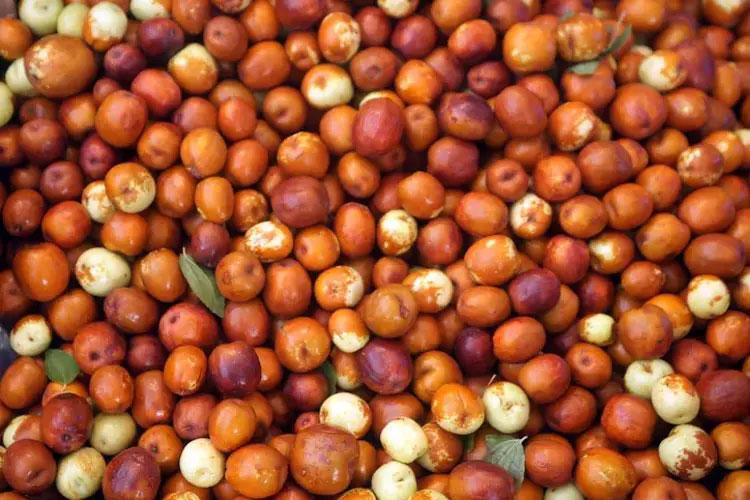 BAĞIŞIKLIK SİSTEMİNİ GÜÇLENDİRME