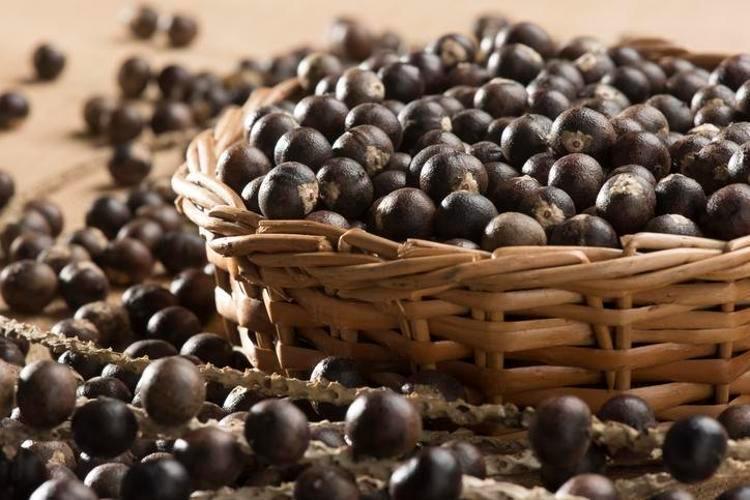 Amerikalı bilim insanlarının bile ilgisini çekti Omega 3, Omega 6, Omega 9 içeren tek meyve...