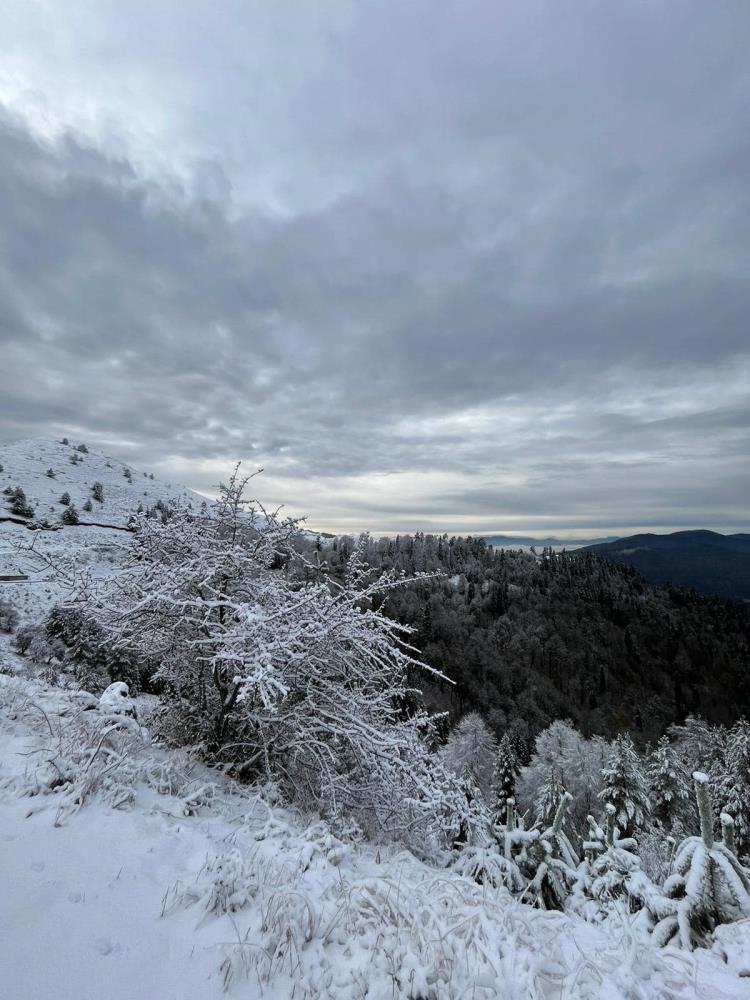 BOLU DAĞI GEÇİŞİNDE KAR YAĞIŞI BAŞLADI