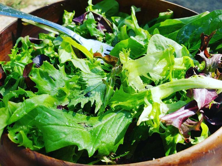 YEŞİL SALATA