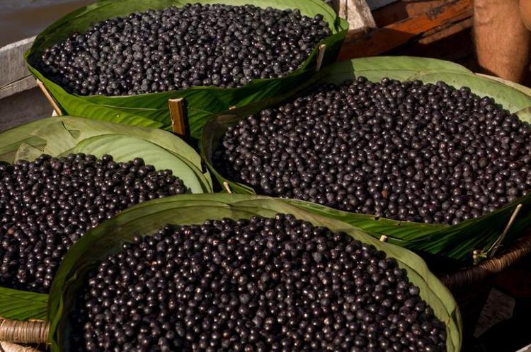 Yaşlanmayı önleyip cildi pürüzsüzleştiriyor Hem kanser düşmanı hem de kalbi koruyor