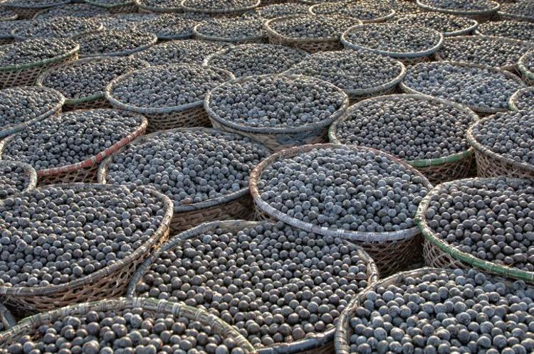 Yaşlanmayı önleyip cildi pürüzsüzleştiriyor Hem kanser düşmanı hem de kalbi koruyor
