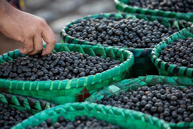 Yaşlanmayı önleyip cildi pürüzsüzleştiriyor Hem kanser düşmanı hem de kalbi koruyor