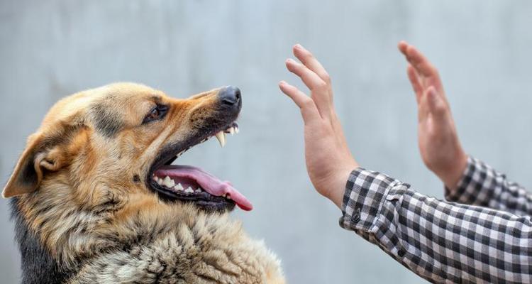 Bakıma muhtaç diye eve aldılar ülkeyi karıştırdı Şimdi 7 milyon insan tehlikede...