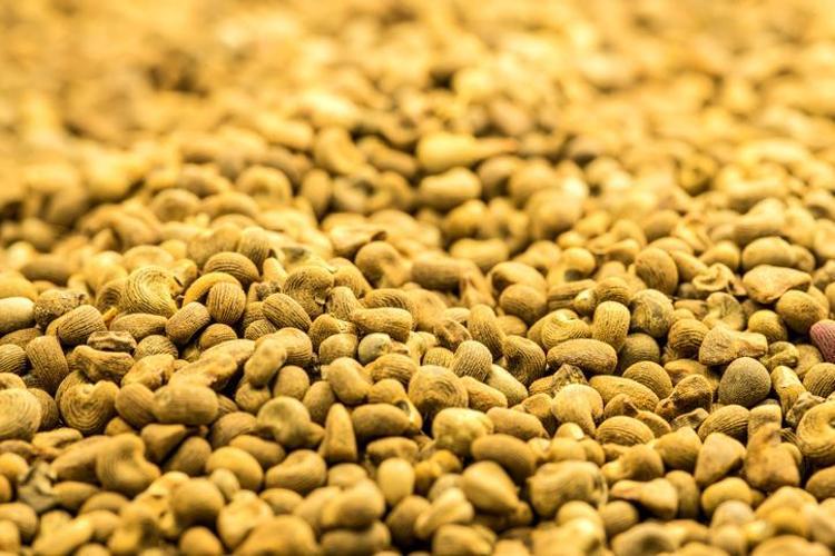 Suda bekletip içen tığ gibi oluyor: Yağları eritirken aynı zamanda şifa dağıtıyor