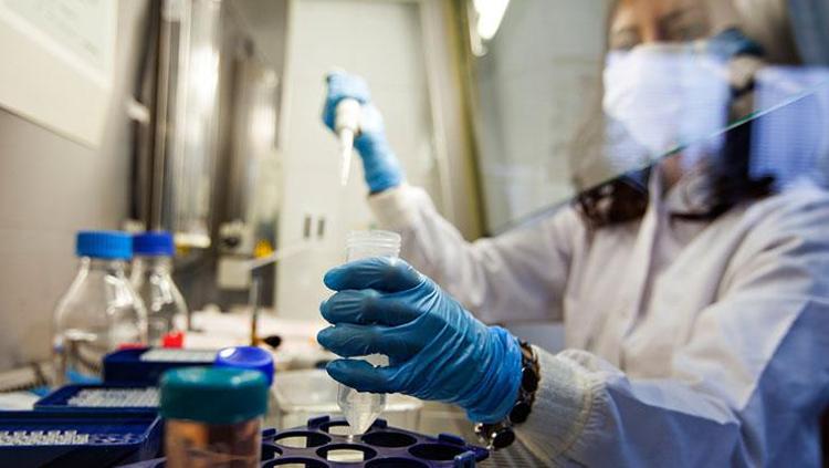 ALZHEİMER VE KANSERE TEDAVİ