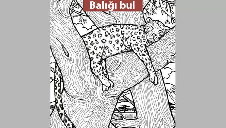 Resimdeki Balığı 10 Saniyede Bulan, Bir Avcının Gözlerine Sahip Demektir