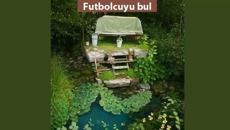 Resimdeki gizli futbolcuyu 6 saniyede tespit eden, yüksek çözünürlüklü görüşe sahip demektir