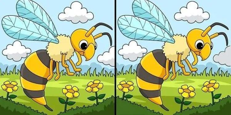 Bu testi sadece çok zeki olanlar 10 saniyede çözebiliyor