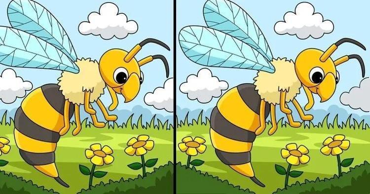 Bu testi sadece çok zeki olanlar 10 saniyede çözebiliyor