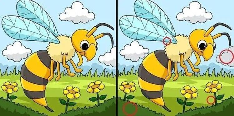 Bu testi sadece çok zeki olanlar 10 saniyede çözebiliyor