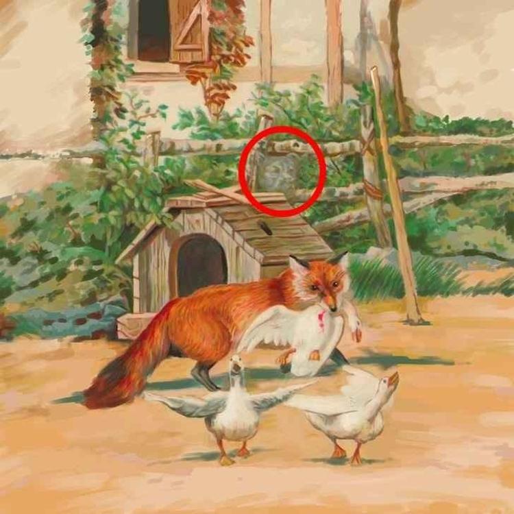 Resimdeki gizli köpeği 7 saniyede bulabilirseniz 20/20 görüşünüz var demektir