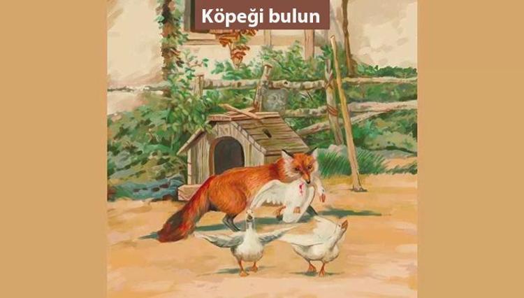 Resimdeki gizli köpeği 7 saniyede bulabilirseniz 20/20 görüşünüz var demektir
