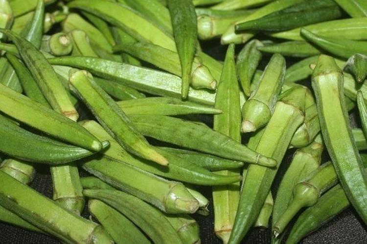 BAMYA TOHUMUN KULLANIMI NASILDIR