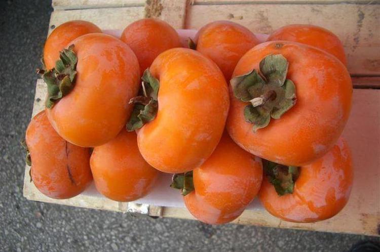 Cennet hurmasını böyle yemek çok tehlikeli Kabız yapıyor: Bağırsakları tıkayıp basuru tetikliyor