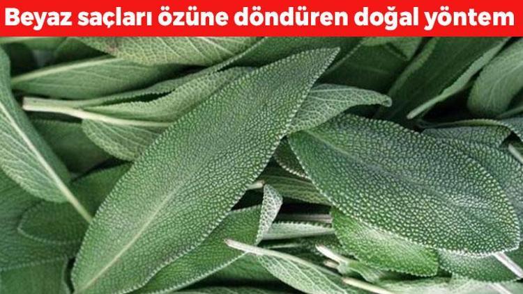 Beyaz saçlardan kurtulmanın en doğal yolu: 1 saat bekletince saçlar eski rengine dönüyor, boyatmaya gerek yok