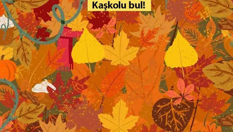 Resimdeki gizli kaşkolu 6 saniyede fark ederseniz, şahin gözlerine sahipsiniz demektir