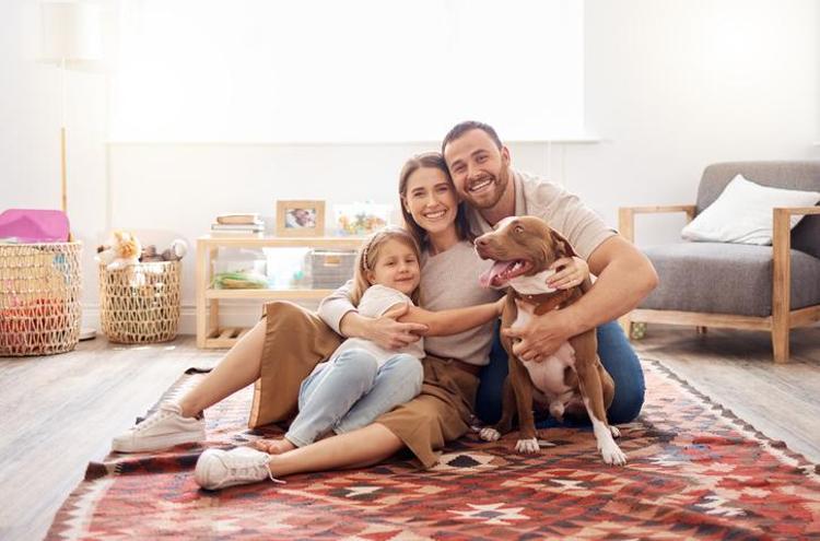 HAYVANLARLA VAKİT GEÇİRME GİBİ AKTİVİTELER DE RUH HALİNİZİ İYİLEŞTİREBİLİR