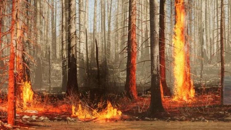 2024ün kehanetleri Ünlü kahin Nostradamus yazdı: Büyük deprem, suikast...