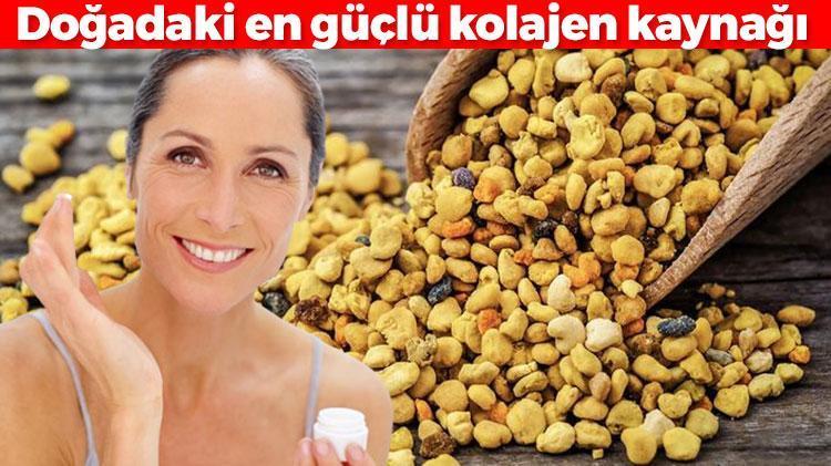 En güçlü kolajen kaynağı oymuş Yaşlanmayı tarihe gömüyor, tek damlası cilt yaralarını iyileştiriyor