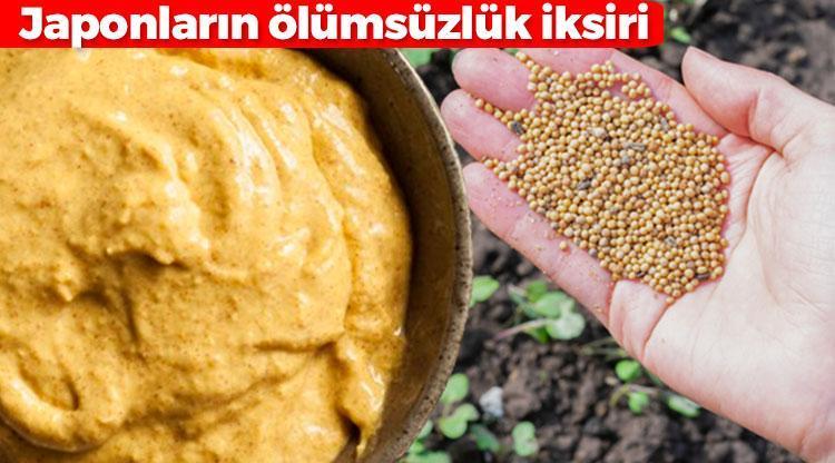 Japonların ölümsüzlük otu Balıkesir, Bursa ve Manisada yetişiyor: Vücudu dipçik gibi yapıyor, yağ mikrop ne varsa söküp atıyor