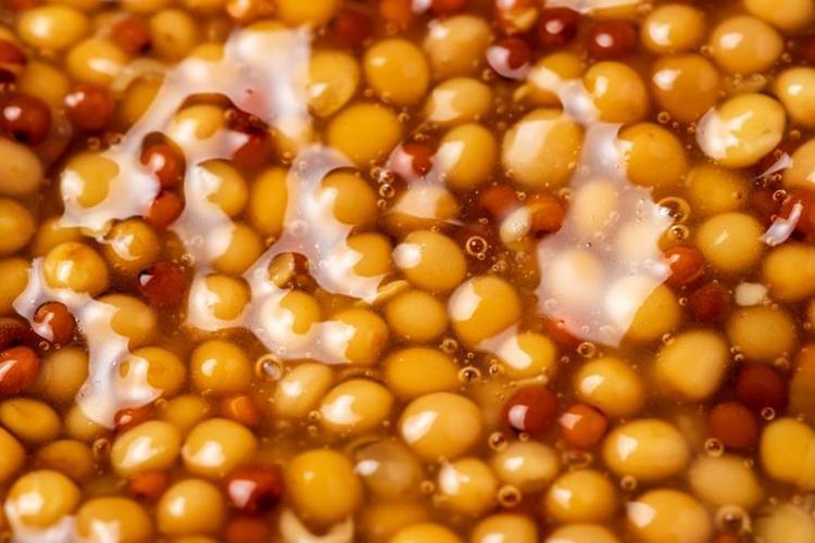 Japonların ölümsüzlük otu Balıkesir, Bursa ve Manisada yetişiyor: Vücudu dipçik gibi yapıyor, yağ mikrop ne varsa söküp atıyor