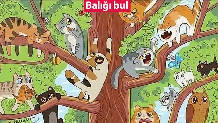 Zeka ve görme becerisini aynı anda test ediyor Resimdeki balığı 5 saniyede bulabilir misiniz