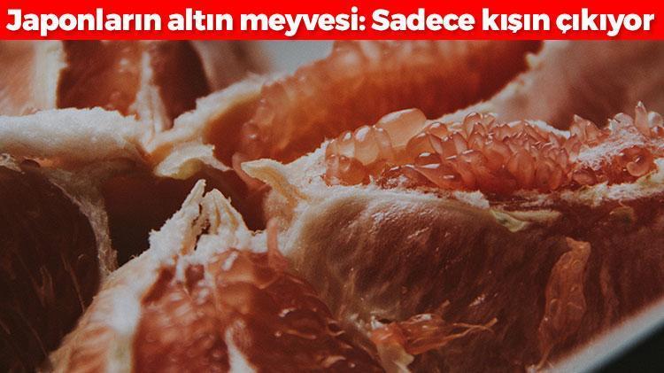 Japonların altın meyvesi Kışın tezgahta gören kapış kapış alıyor: Yedikçe vücudu mum gibi eritiyor