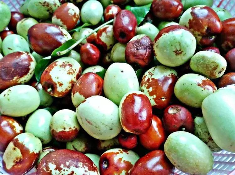 BAĞIŞIKLIK SİSTEMİNİ GÜÇLENDİRME