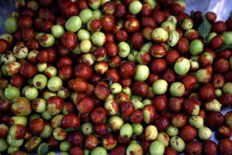 Antalya, Mersin ve Adanada yok satıyor Değerini Çinliler biliyor: Bardak bardak içen mum gibi eriyor