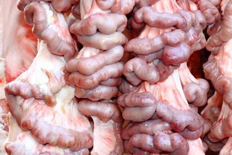 Kabızlığı bitiriyor, düğüm düğüm olmuş bağırsakları tek seferde açıyor Vücuttaki zehri söküp atıyor