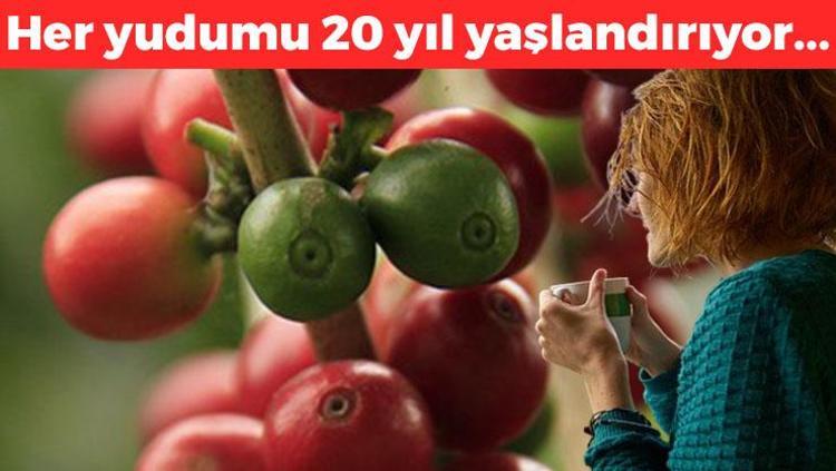Bardak bardak içiyoruz ama zehir saçıyor Bu zararını kimse bilmiyor: Her yudumu 20 yıl yaşlandırıyor