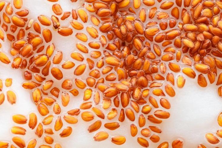 Yalnızca 2 malzemeyle efsanevi kür: Her gün kaşık kaşık yiyen öksürük nedir bilmiyor